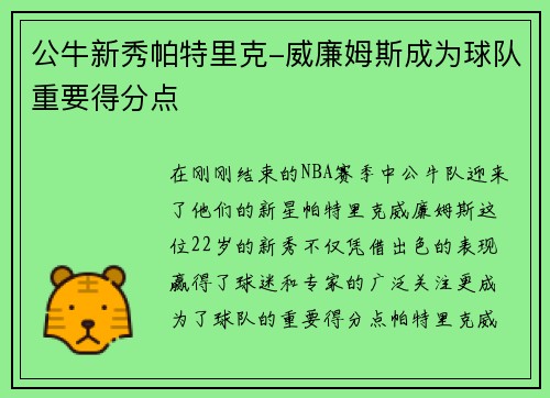 公牛新秀帕特里克-威廉姆斯成为球队重要得分点