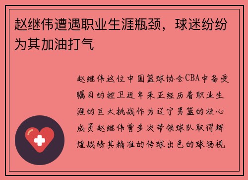 赵继伟遭遇职业生涯瓶颈，球迷纷纷为其加油打气